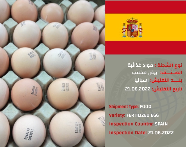 تفتيش شحنة بيض مخصب (اسبانيا)