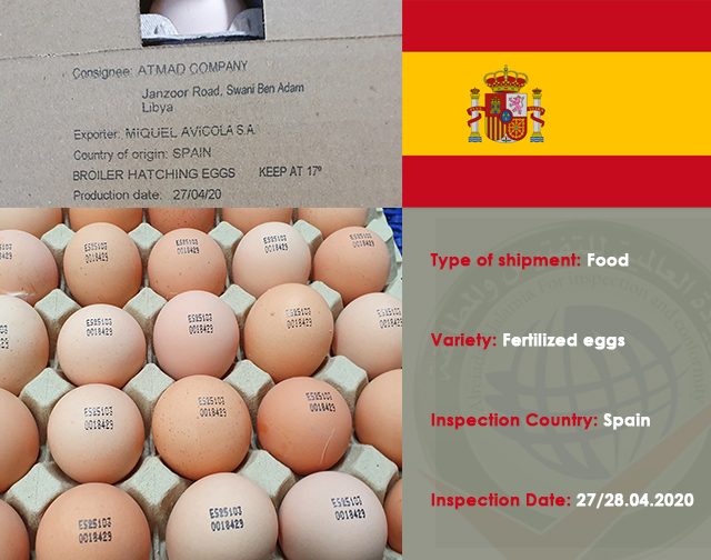 Inspection of a shipment of food (eggs) from Spain